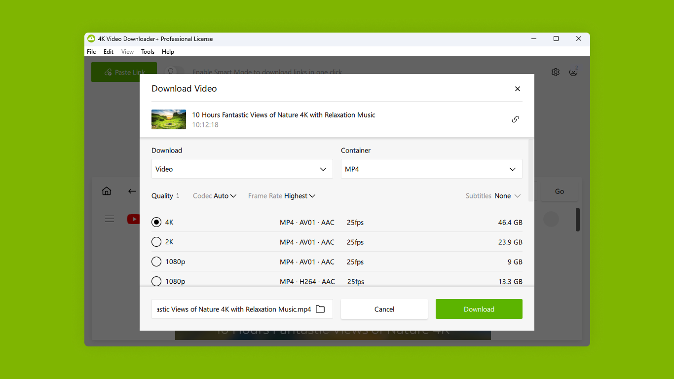 4K Video Downloader Plus Pro